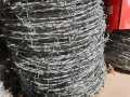 drut kolczasty ocynkowany rolka.jpg
