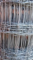 S73R0950.JPG